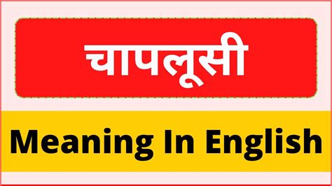 Meaning of chaplusi in English .